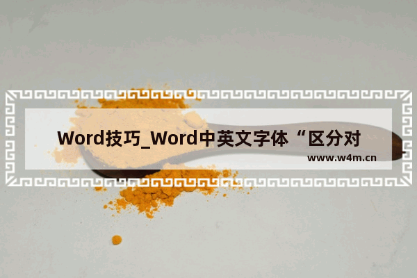 Word技巧_Word中英文字体“区分对待”