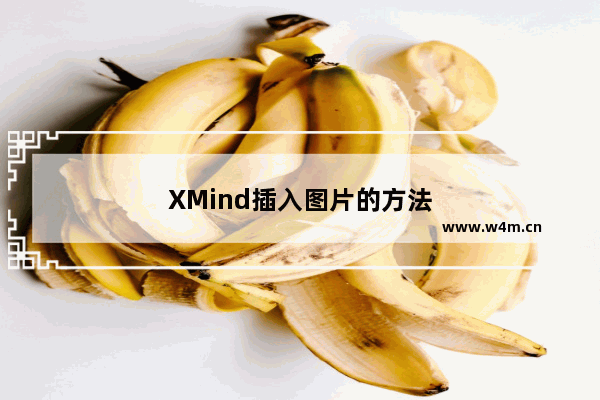 XMind插入图片的方法