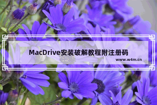 MacDrive安装破解教程附注册码