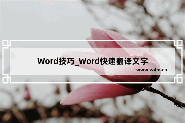 Word技巧_Word快速翻译文字