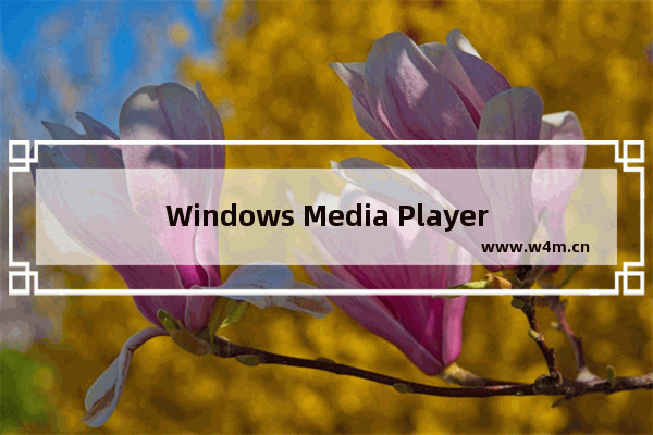 Windows Media Player查看歌曲详情的方法