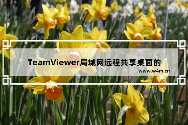 TeamViewer局域网远程共享桌面的配置方法