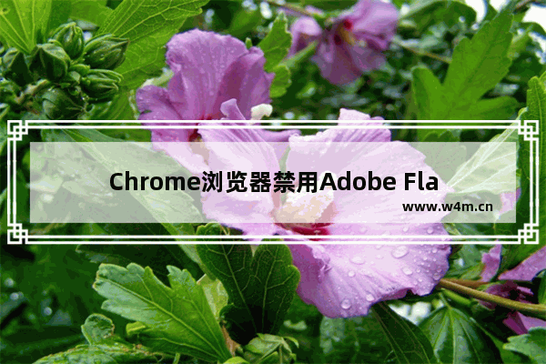 Chrome浏览器禁用Adobe Flash Player的方法