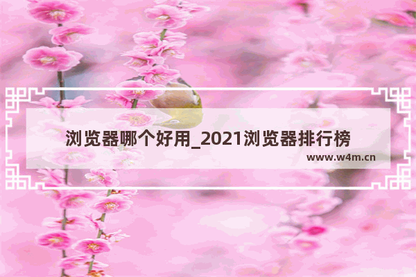 浏览器哪个好用_2021浏览器排行榜