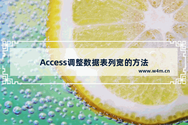 Access调整数据表列宽的方法