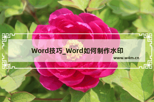 Word技巧_Word如何制作水印