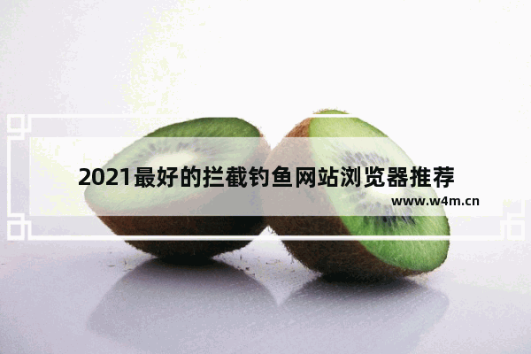 2021最好的拦截钓鱼网站浏览器推荐