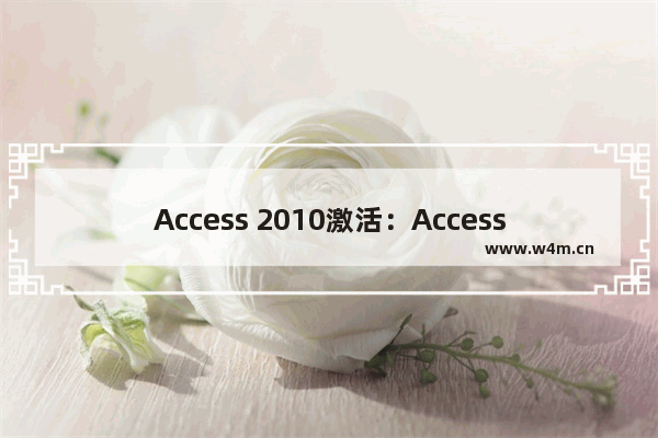 Access 2010激活：Access 2010密钥分享