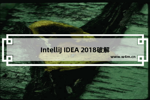 IntelliJ IDEA 2018破解：IDEA 2018注册码分享