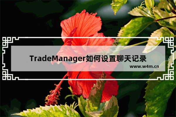 TradeManager如何设置聊天记录漫游？