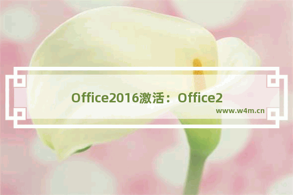 Office2016激活：Office2016序列号/产品密钥