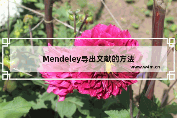 Mendeley导出文献的方法