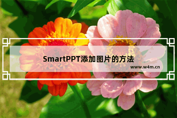 SmartPPT添加图片的方法