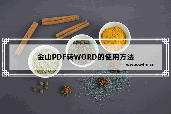 金山PDF转WORD的使用方法