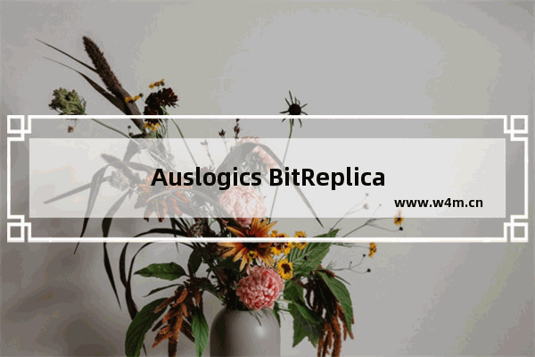 Auslogics BitReplica如何破解？