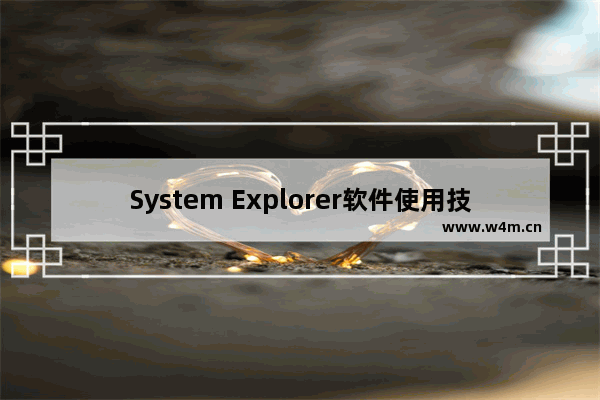 System Explorer软件使用技巧