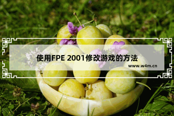 使用FPE 2001修改游戏的方法