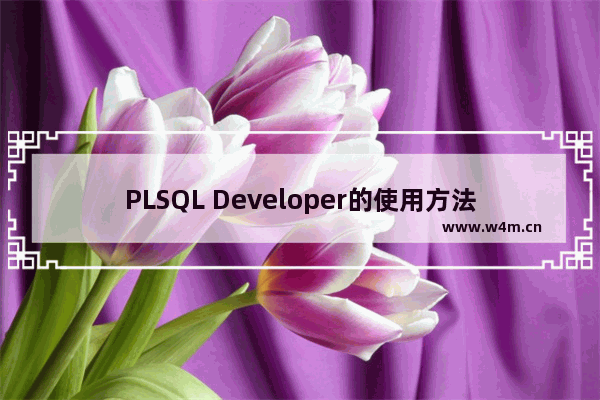 PLSQL Developer的使用方法