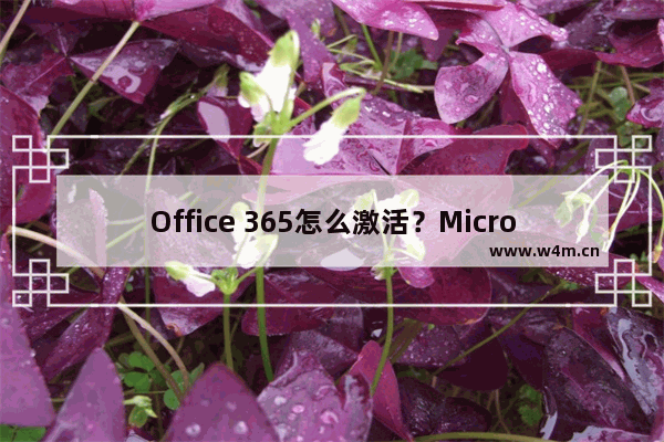 Office 365怎么激活？Microsoft Office 365激活密钥