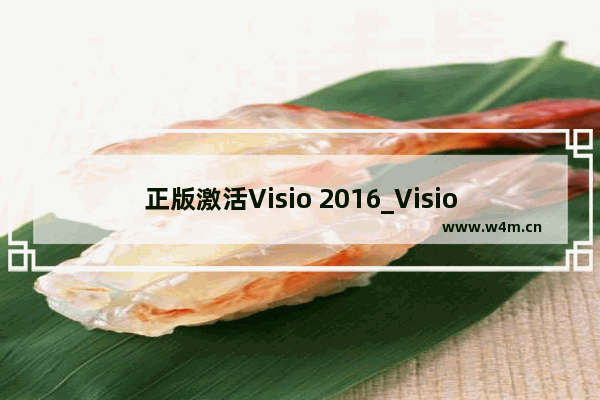 正版激活Visio 2016_Visio 2016最新密钥分享