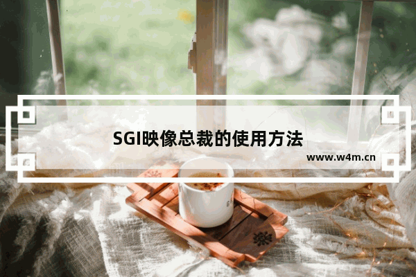 SGI映像总裁的使用方法