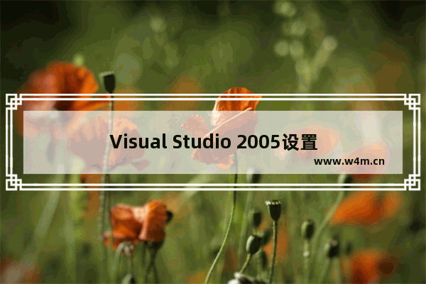 Visual Studio 2005设置字体的方法