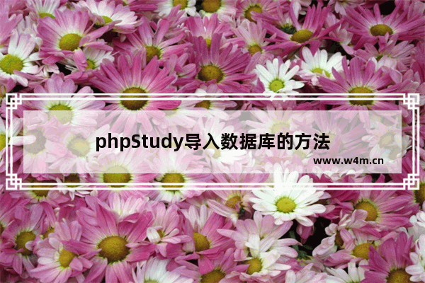 phpStudy导入数据库的方法