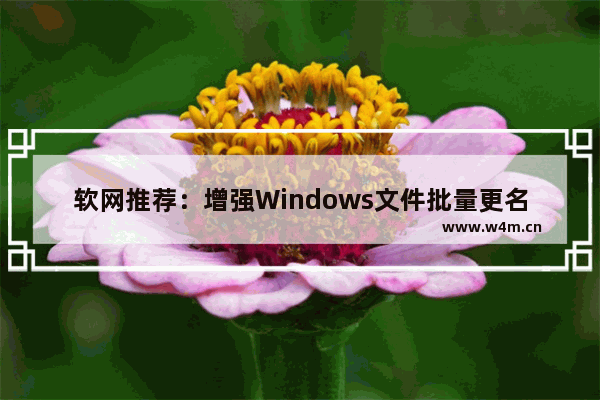 软网推荐：增强Windows文件批量更名功能