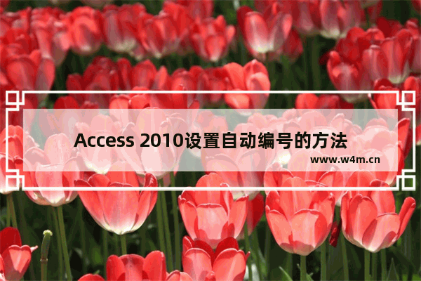 Access 2010设置自动编号的方法