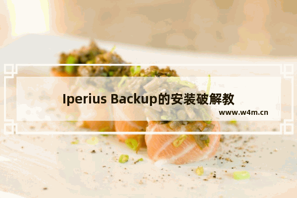 Iperius Backup的安装破解教程