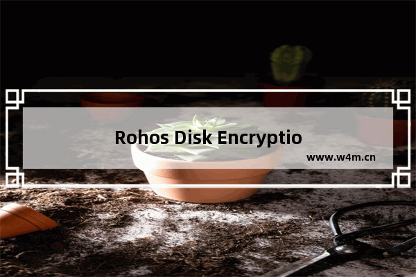 Rohos Disk Encryption怎么使用？