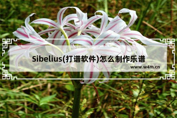 Sibelius(打谱软件)怎么制作乐谱？