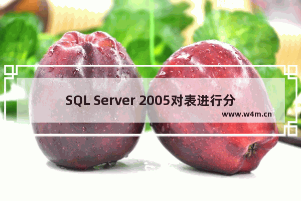 SQL Server 2005对表进行分区的方法