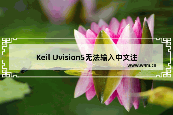 Keil Uvision5无法输入中文注释的方法