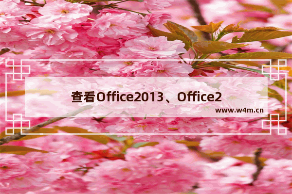 查看Office2013、Office2016激活状态的技巧