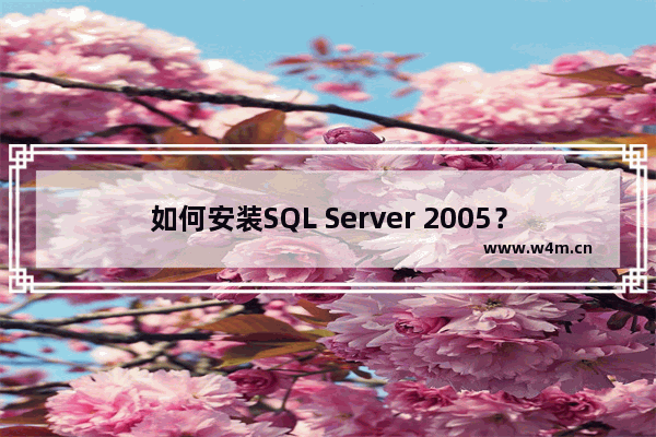 如何安装SQL Server 2005？