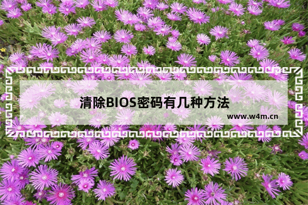 清除BIOS密码有几种方法