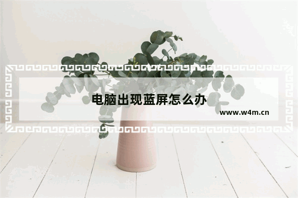 电脑出现蓝屏怎么办