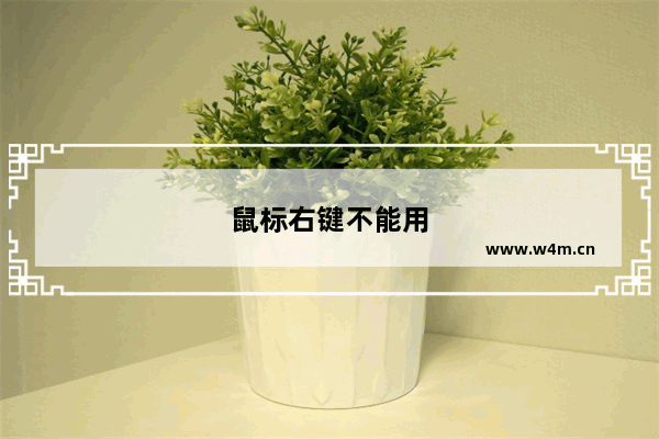 鼠标右键不能用