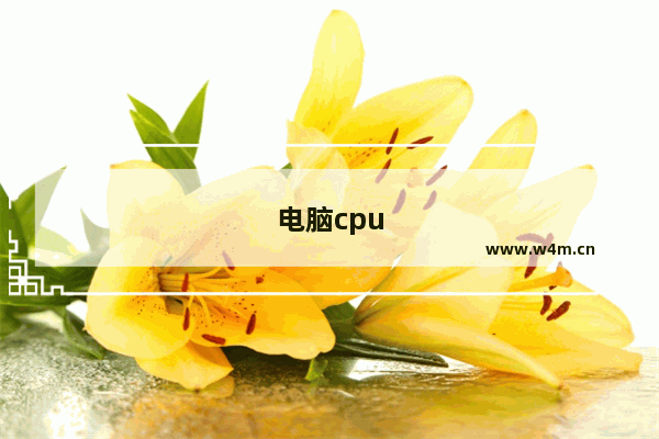 电脑cpu