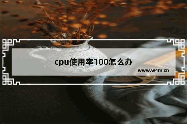 cpu使用率100怎么办