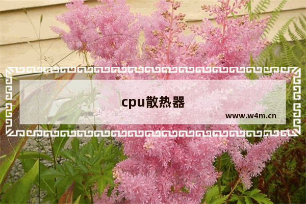 cpu散热器