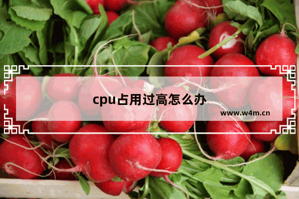 cpu占用过高怎么办