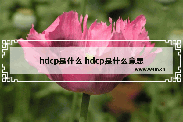 hdcp是什么 hdcp是什么意思