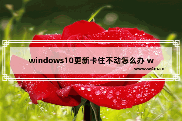 windows10更新卡住不动怎么办 windows10更新卡住不动了