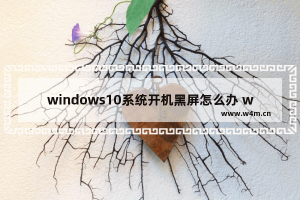 windows10系统开机黑屏怎么办 windows10开机黑屏啥也没有的三种修复方法