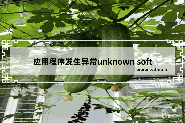 应用程序发生异常unknown software怎么解决