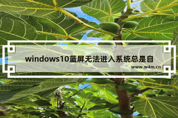 windows10蓝屏无法进入系统总是自动重启解决方法