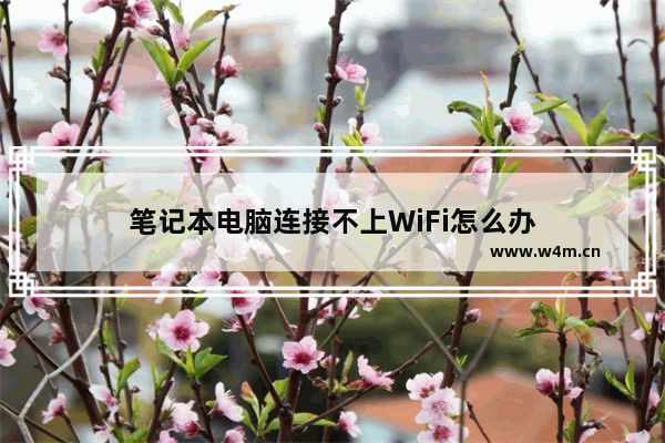 笔记本电脑连接不上WiFi怎么办