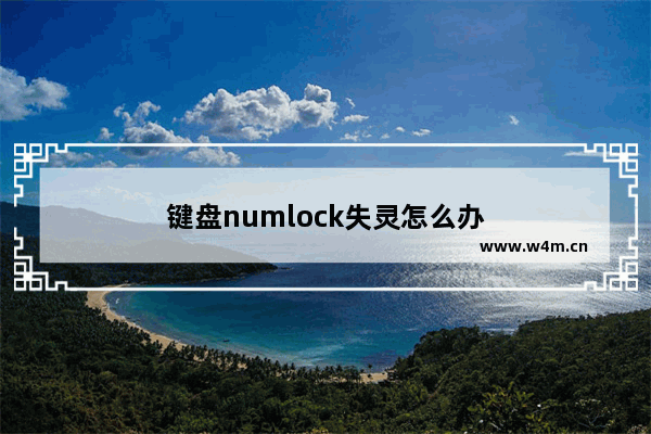 键盘numlock失灵怎么办